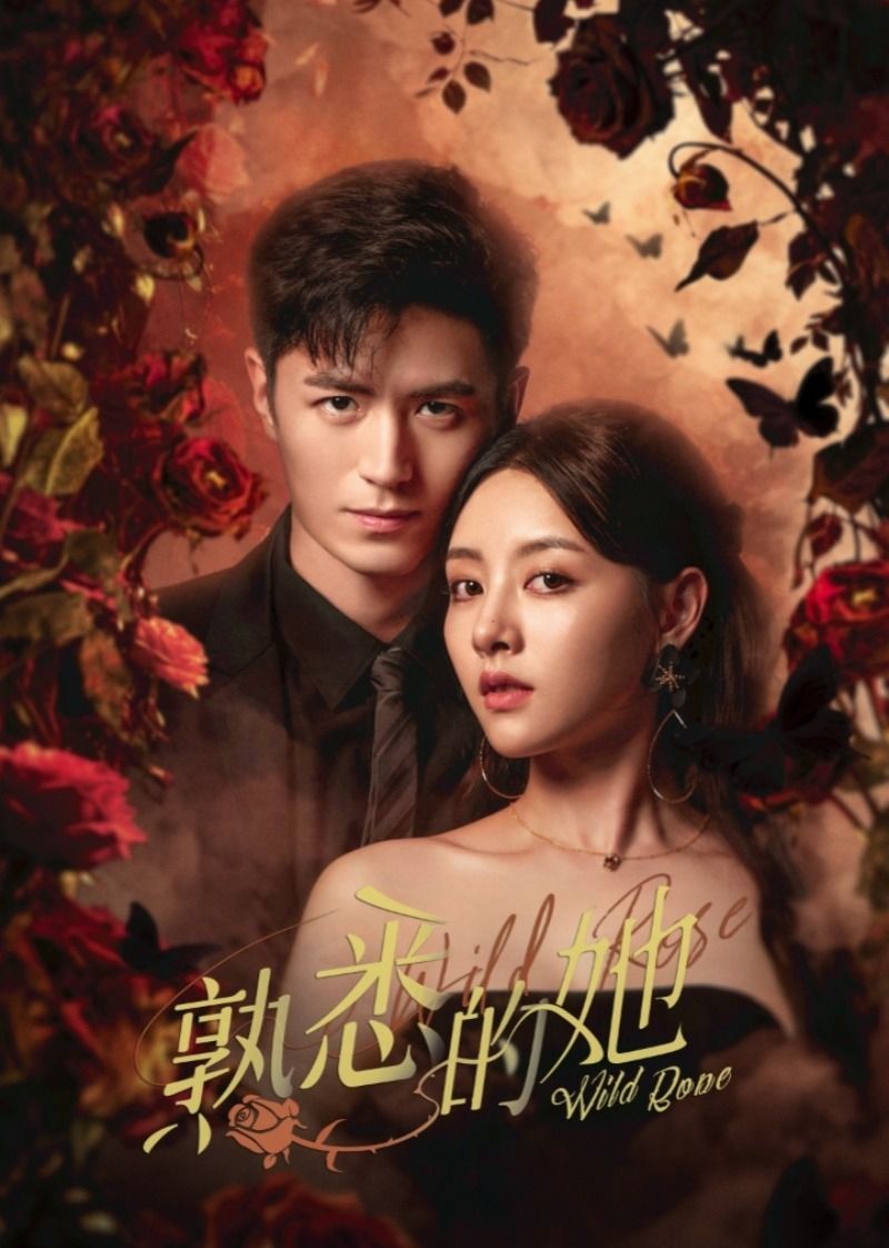 美丽的姑娘在线观看免费第3季