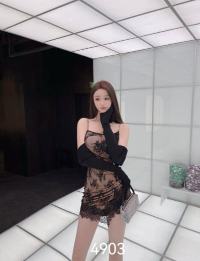 家教高级课程在线 第7季