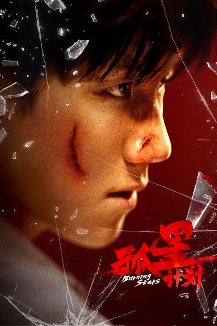 2025 火花影视在线观看