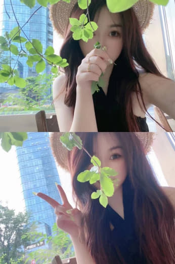 枫与铃什么时候更新第3集