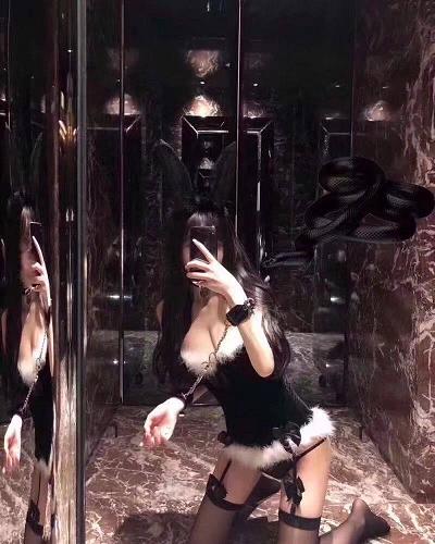 隐形战队电视剧粤语免费观看全集 第7季