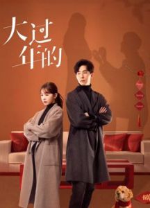 德川幕府三部曲是哪三部 第5季