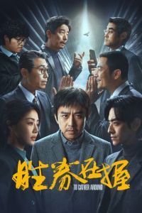 与鸭共舞