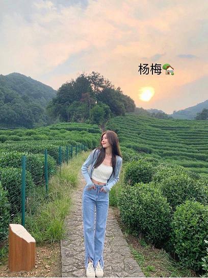小委托人 第8季