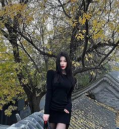 翼龙无人机战场视频在线观看高清免费 第8季