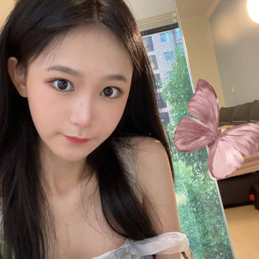 爱犬的奇迹电影免费完整观看