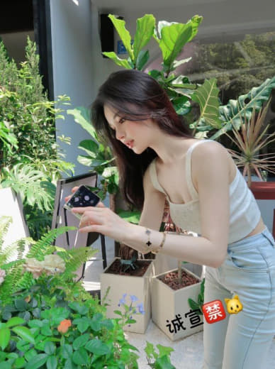 高压监狱满天星是什么意思
