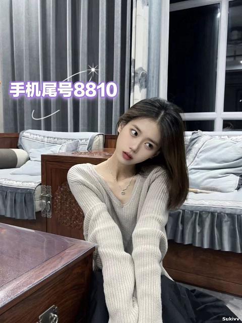 无人救海龟视频播放在线观看高清