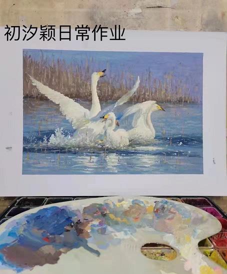 年幼的嫂子 第8季