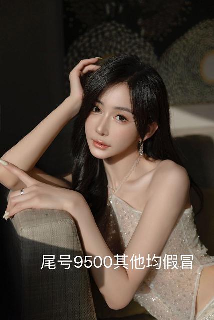 现代监狱高压电网分布 第6季