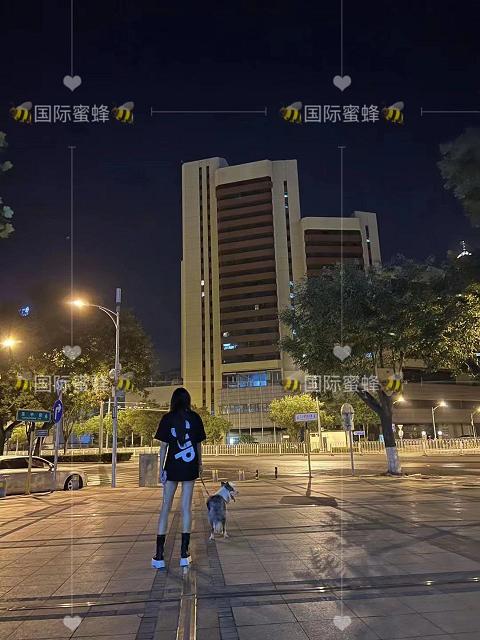 高压监狱的女狱警是谁啊视频播放