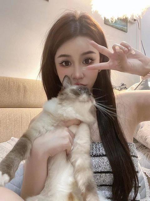 日本影片和韩国影片合集 第7季