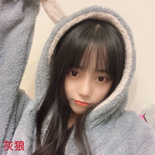 成人动漫在线免费看